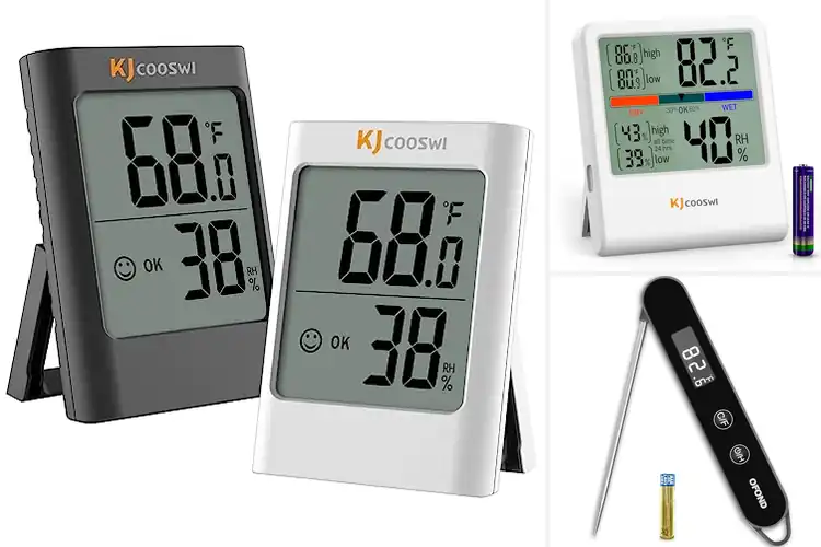 Detailed view of Best AAA Battery Powered Thermometers