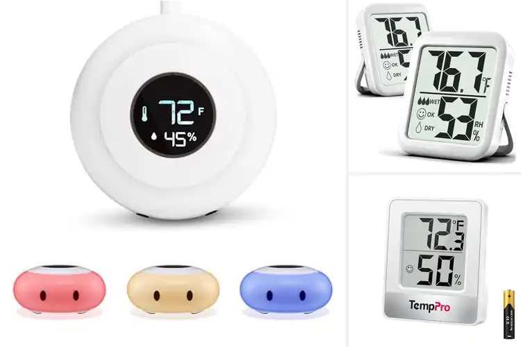 Detailed view of Best Baby Room Thermometers