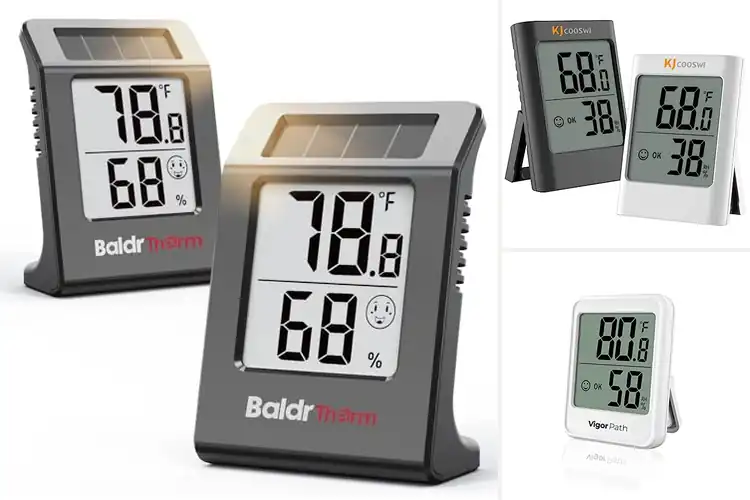 Detailed view of Best Battery Powered Hygrometer