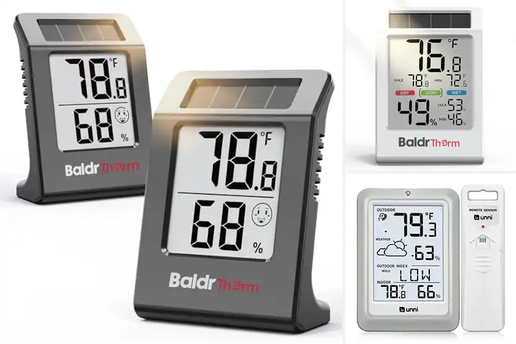 Detailed view of Best Battery Powered Hygrometers