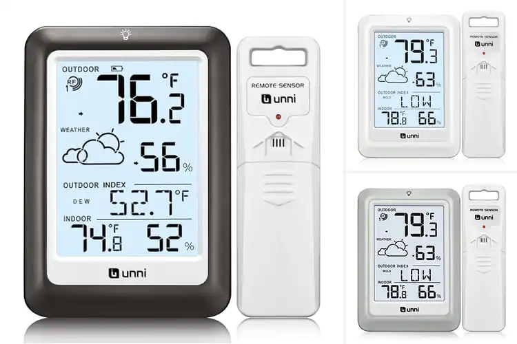 Detailed view of Best Battery-Powered Thermometers