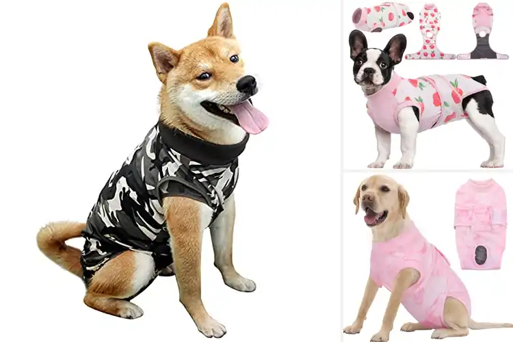 Detailed view of Best Breathable Dog Recovery Material