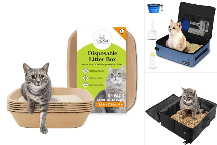 Detailed view of Best Cat Travel Litter Trays for Easy Trips