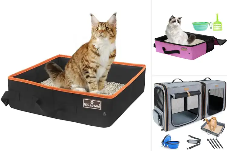 Detailed view of Best Collapsible Cat Litter Carriers