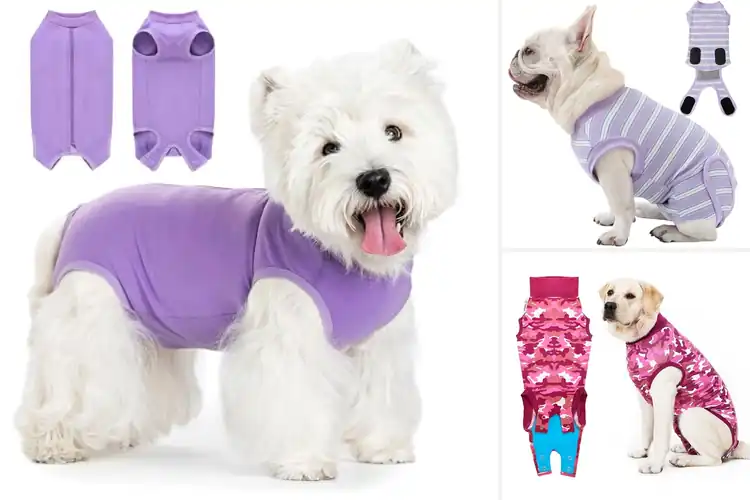 Detailed view of Best Colored Dog Surgery Suit