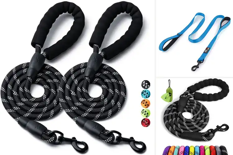 Detailed view of Best Comfortable Pet Leashes for Happy, Easy Walks