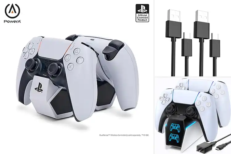 Detailed view of Best Controller Chargers