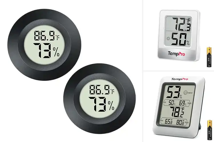 Detailed view of Best Digital Hygrometer Readouts
