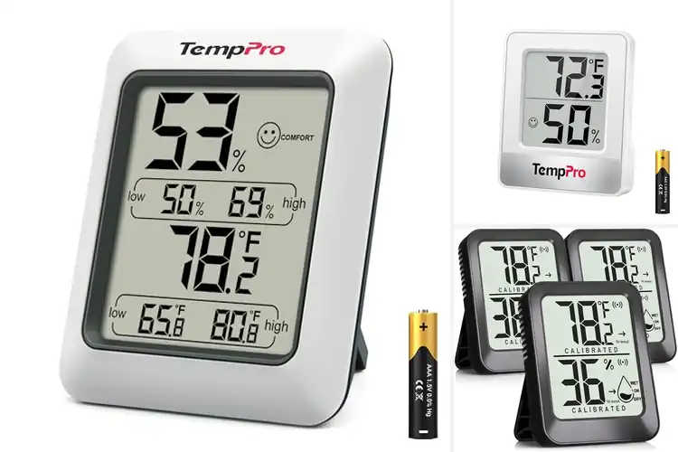 Detailed view of Best Digital Room Thermometers