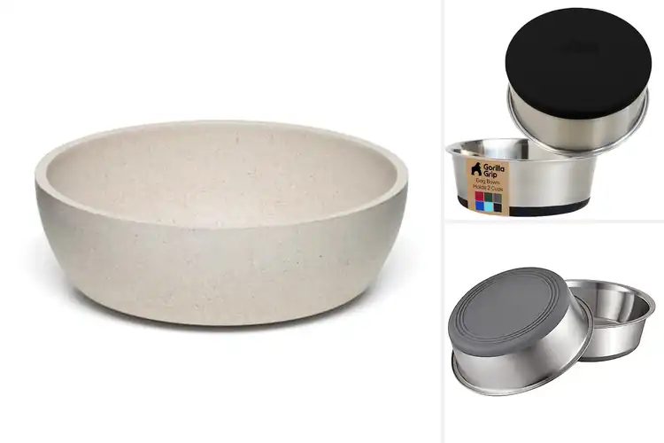 Detailed view of Best Dishwasher Safe Dog Bowls