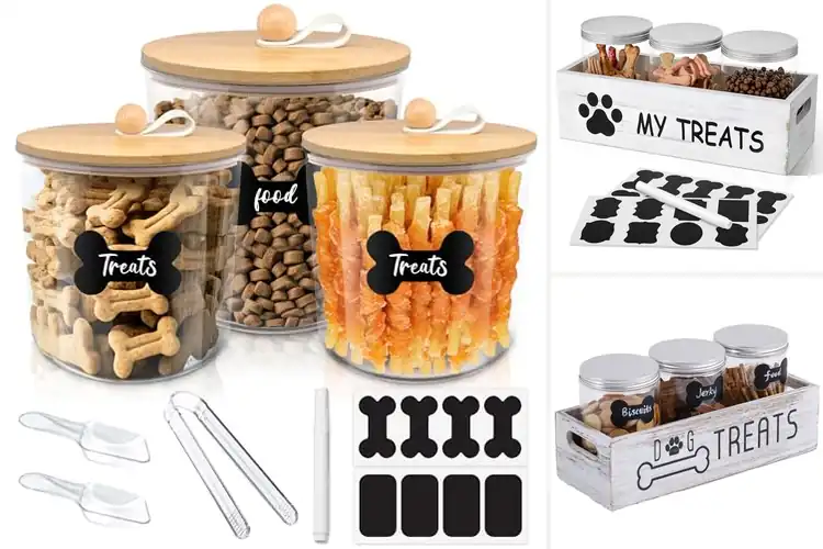 Detailed view of Best Dog Treat Containers