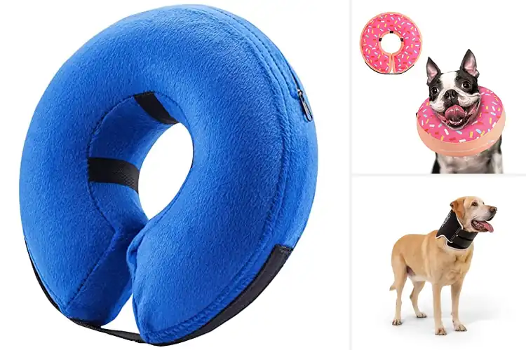 Detailed view of Best E-Collar Alternative For Dogs