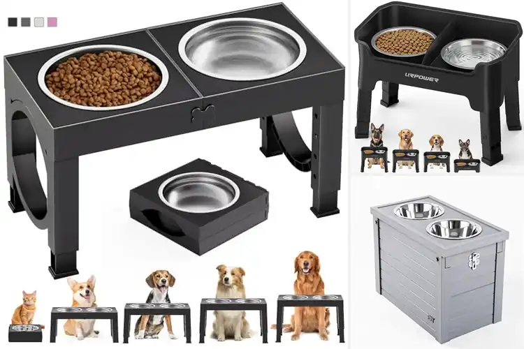 Detailed view of Best Easy To Assemble Dog Bowls