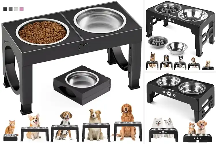 Detailed view of Best Elevated Dog Bowls