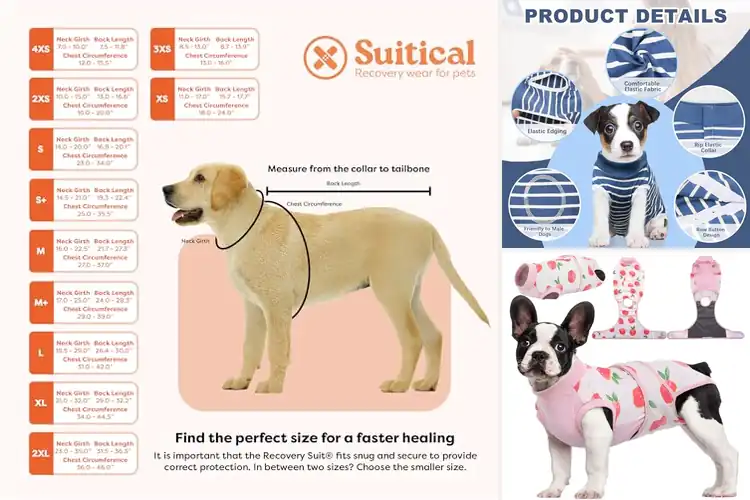 Detailed view of Best Fitting Dog Recovery Suits