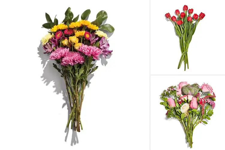 Detailed view of Best Fresh Flowers