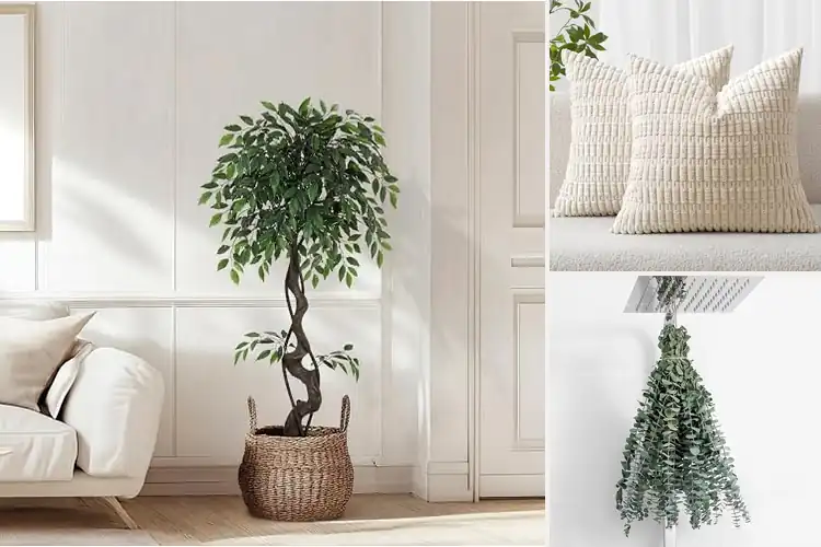 Detailed view of Best Home Decor