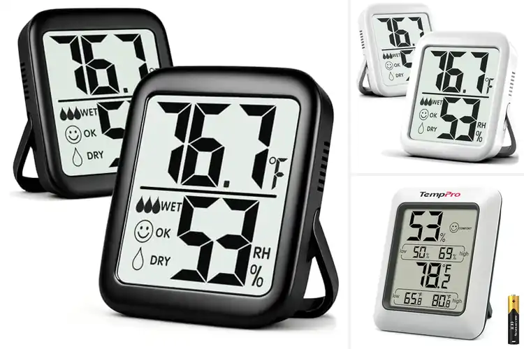 Detailed view of Best Humidity Gauge For Nursery