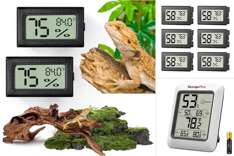 Detailed view of Best Humidity Gauge Kit