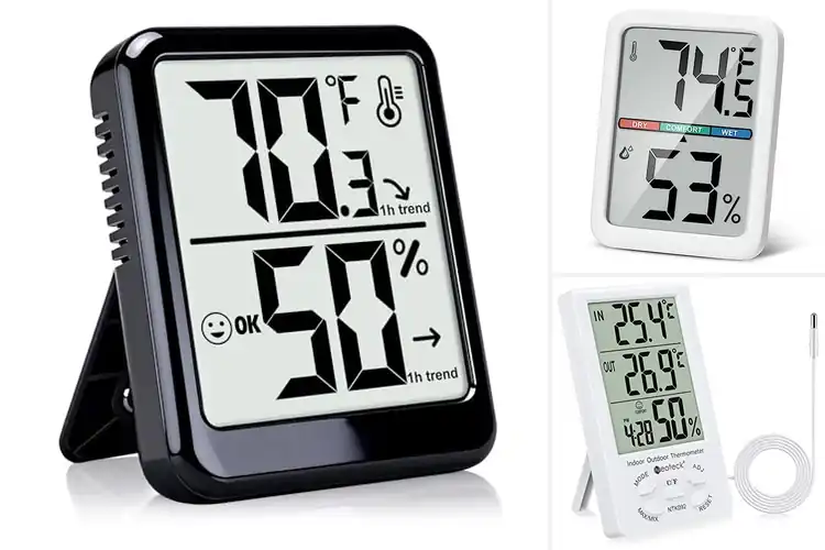 Detailed view of Best Indoor Thermometer For Office Use
