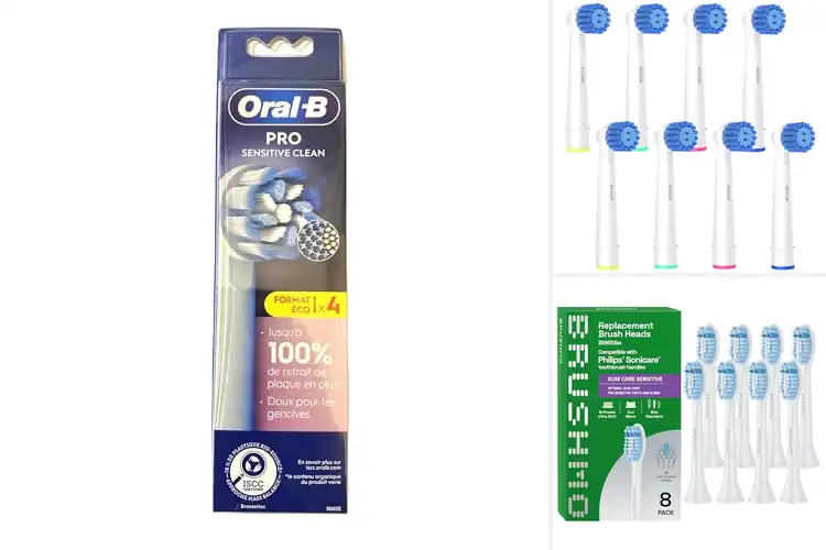 Detailed view of Best Large Soft Brush Heads