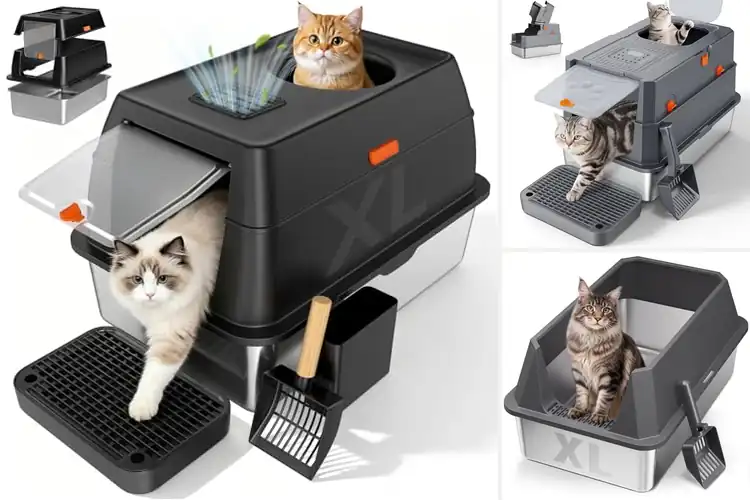 Detailed view of Best Leak‑Proof Cat Litter Boxes