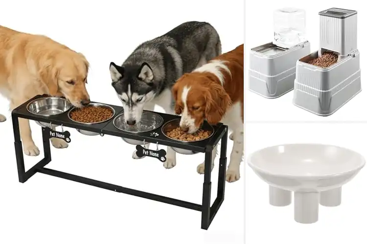 Detailed view of Best Neck And Joint Protection Bowls
