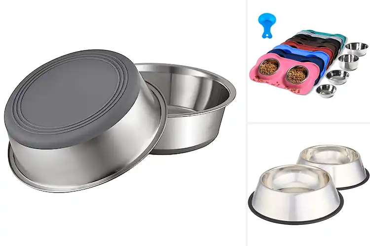 Detailed view of Best Non-Slip Dog Bowls