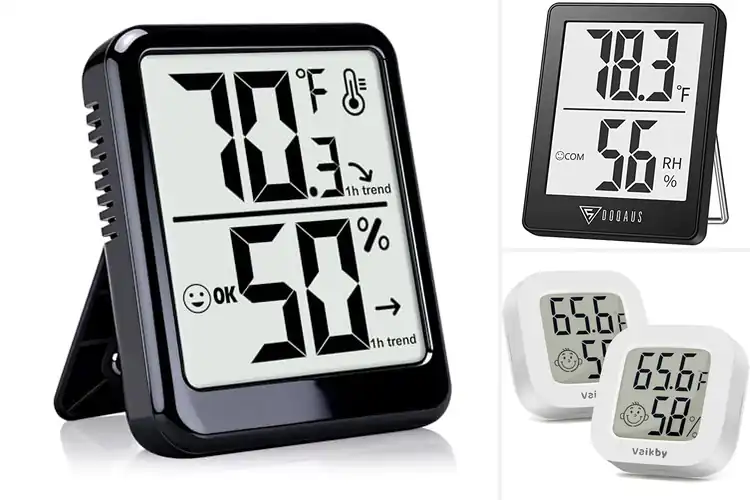 Detailed view of Best Office Hygrometers
