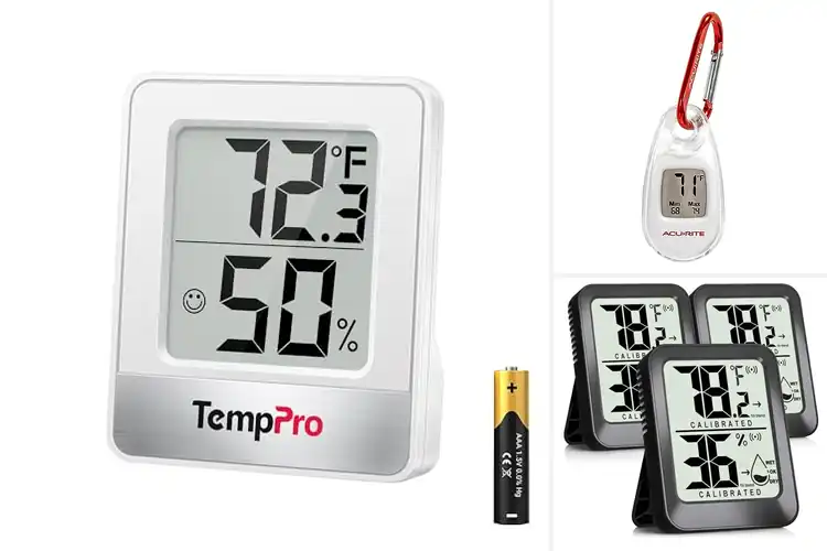 Detailed view of Best Portable Thermometers