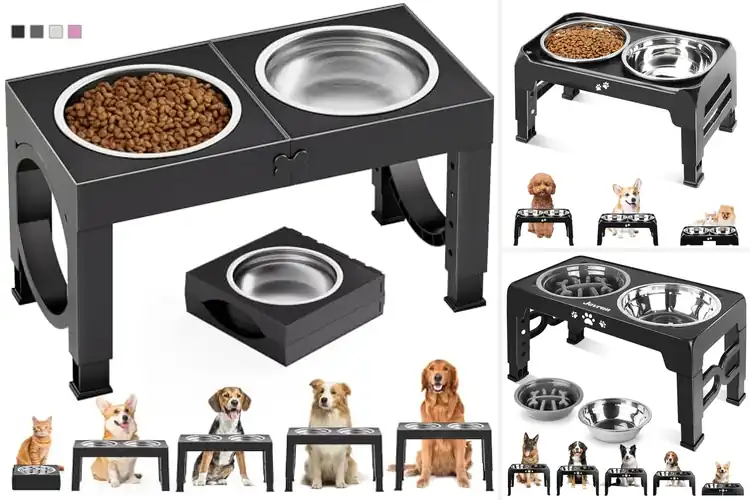 Detailed view of Best Raised Dog Bowl Stands: Top 10 Picks for Comfy Mealtime