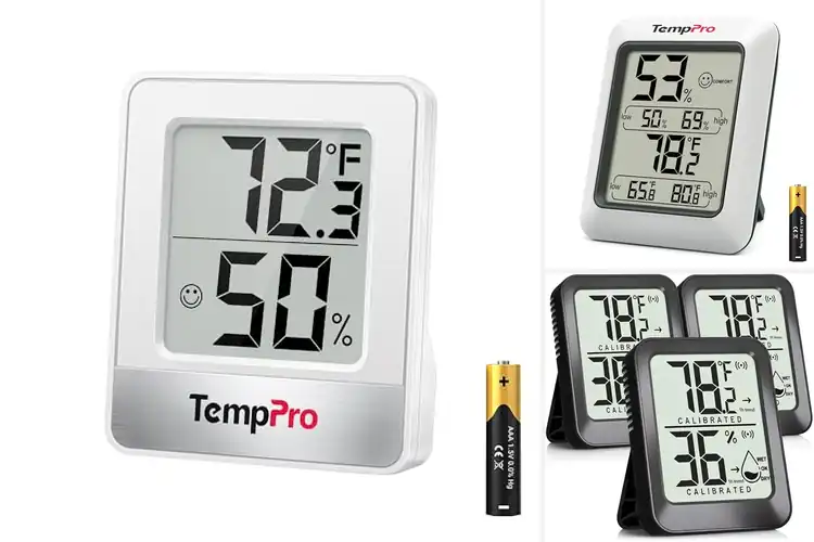 Detailed view of Best Room Thermometers