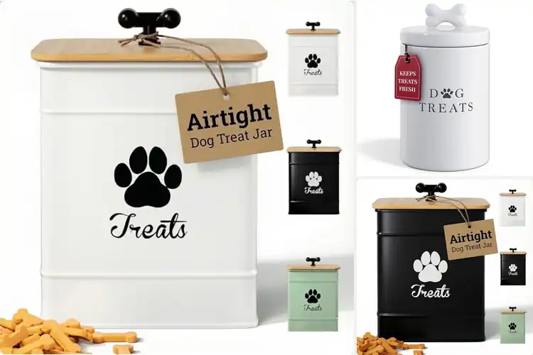 Detailed view of Best Rustic Dog Storage Jars