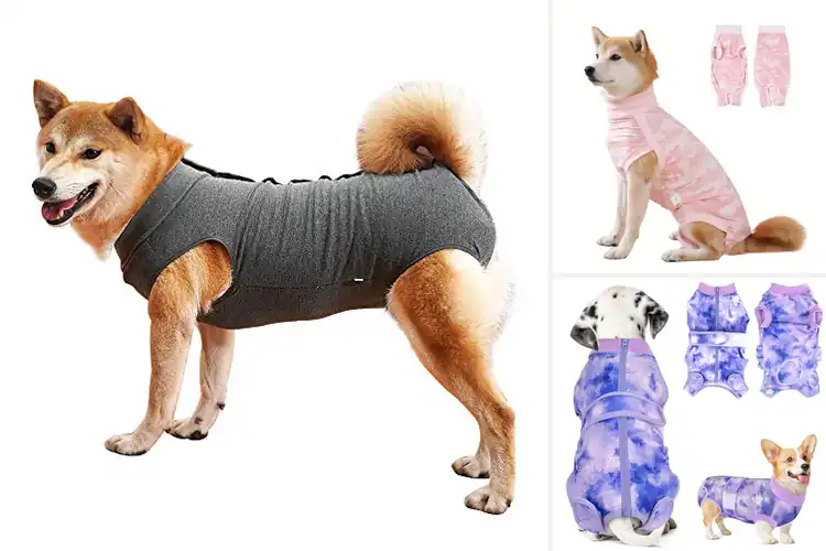 Detailed view of Best Sized Dog Postoperative Suit