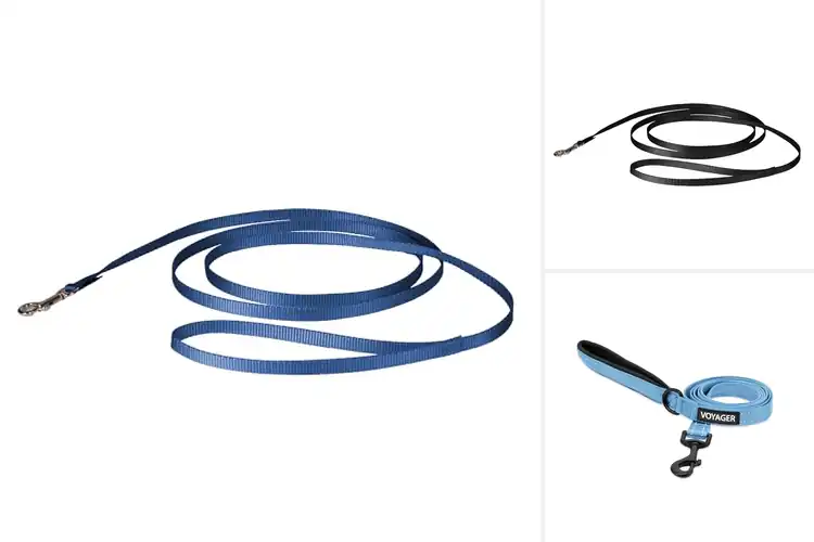Detailed view of Best Small Dog Leashes