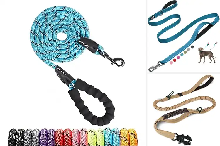 Detailed view of Best Strong Pet Leashes for Safe, Comfortable Walks