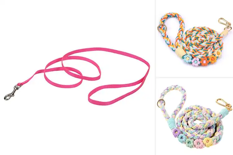 Detailed view of Best Stylish Pet Leashes